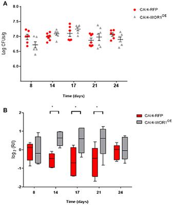 Overexpression of the Transcriptional Regulator WOR1 Increases Susceptibility to Bile Salts and Adhesion to the Mouse Gut Mucosa in Candida albicans